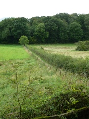 Cockshot Wood