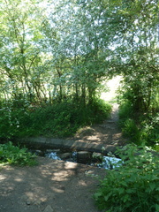 Footpath into Sand Moor Golf Club